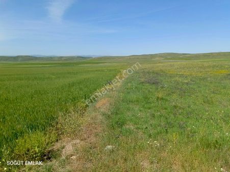 Söğüt Emlak'tan İscehisar'da Satılık Tarla 3000m2