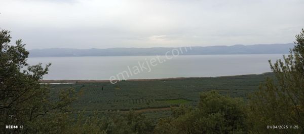 Bursa İznik Mahmudiye 'de Harika Göl Manzaralı Satılık Yerimiz