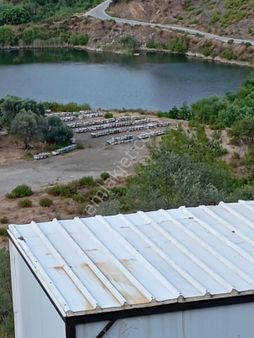 Satılık Zeytinlik Bayındır 750 M2