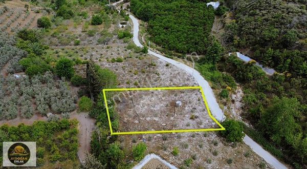 Aydoğan Emlak'tan Satılık Rızai Taksimli Arsa - Erentepe/kumluca