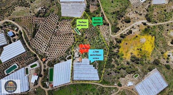 Aydoğan Emlak'tan Müstakil Tapu Tarla - Sera Ve 2 Adet Ev İle !!