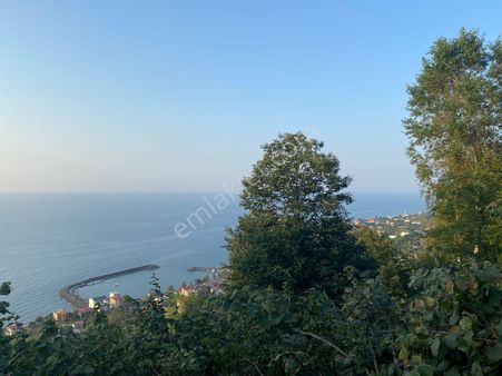 Trabzon Çarşıbaşı Kerem Mahallesi 2.507m2 Satılık Arsa