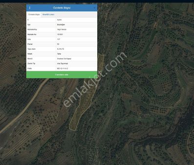İkoniyum'dan Aydın Bozdoğanda 8216 M² Zeytin Tarlası