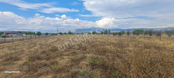 Küçük Gökçeli De Yatırımlık Çit İle Çevrili Arazi