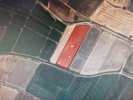 Acil Kelepir Çanakkale Merkez Çıplak Köyünde 9278 M2 Tarla Mkd