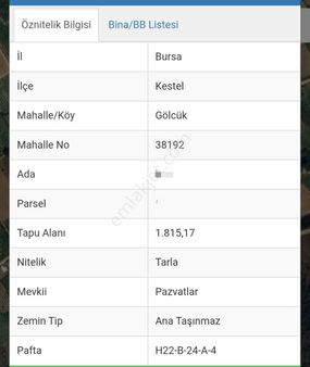 Ena Group Bursa Kestel Gölcük'te 9500 M2 Satılık Çiflik