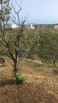 Anadolu Emlaktan Çevreyoluna 350m Uzaklıkta Acil Satılık Bağ