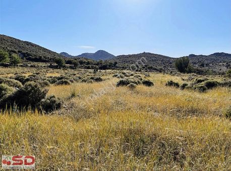 Söğütte Yatırım İçin 190 M2 Alıp 1 Sene Sonra Satmaya Uygun