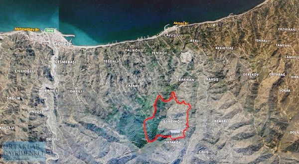 Giresun Görele Güneyköy'de 2 Tapu Tek Tapu Fiyatına