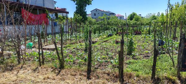 Samsun Terme Çay Mah Ünye Caddesine Yakın Satilik 4 Kata İmarlı Parsel