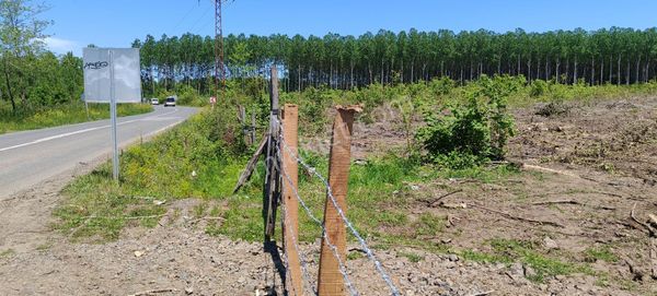 Samsun Terme Uzungazi Köyü Ama Yoluna Cephe Ucuz Fiyata Satikik Tarla