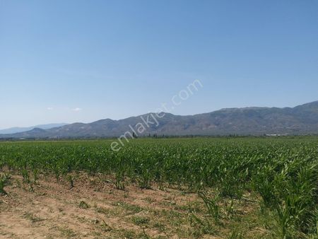 Duru Emlak'tan Satılık Açıklamayı Okuyun Detaylı Bilgi İçin Arayınız