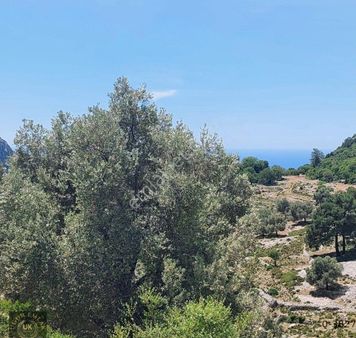 Uğur'dan Dodurga 'da Deniz Manzaralı Fırsat Arazi