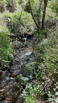 Kemalpaşa Ovacık Köyünde Müstakil Bahçeli Ev