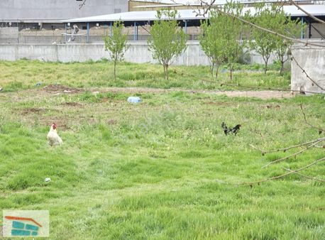 Bozdoğandan Battalgazi Serintepede Yola Cephe Tarla