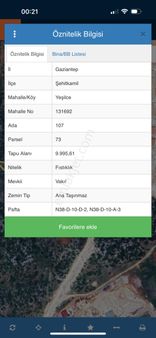 Şehitkamil Yeşilce Satılık Fıstıklık