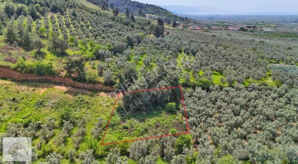 Çicekli Mahallesinde Yatırım Fırsatı!!