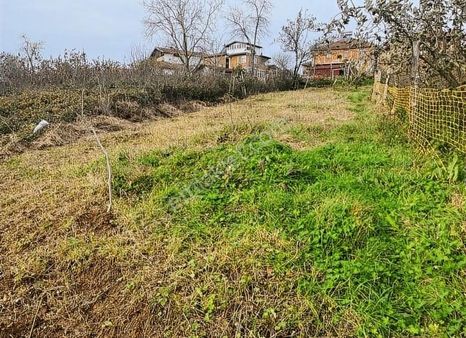 Yatırımlık Teksen De Müstakil Prs