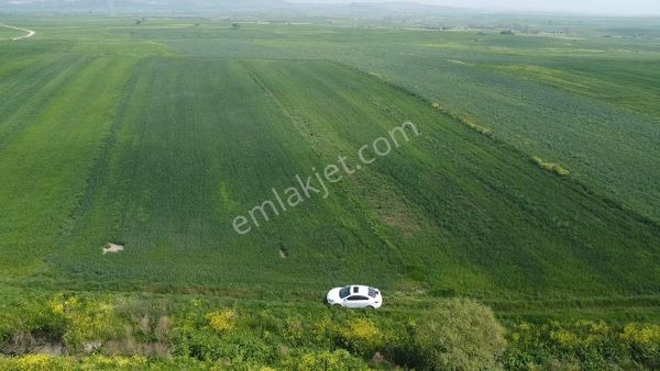 Çanakkale Biga Örtülüce Köyü Satılık Arazi