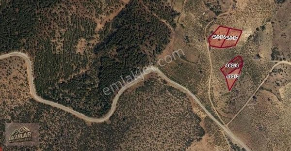 Hadim Göynükışla Da 6649 M' 2000 Adet Üzüm Çubuğu Olan Bağ Yeri