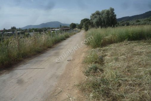 İzmir Torbalı Gold Emlaktan Satılık Kıymetli Tarla