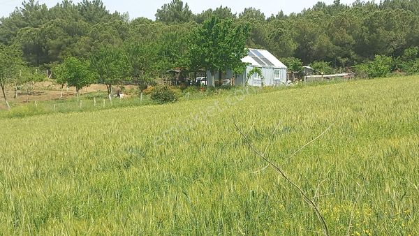 Şarköy İstanbul Yolu Üzerinde Ana Yola 65 Metre Cepheli Deniz Manzaralı 3100m2yerimiz Satılıktır