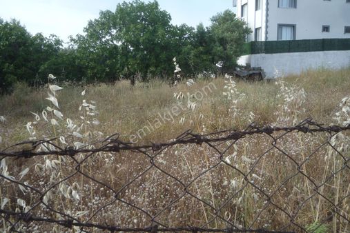 İzmir Torbalı Gold Emlaktan Satılık Konut İmarlı Arsa