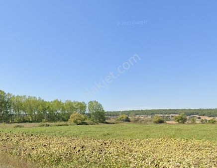 Eceabat İsmetpaşa Da Satılık İki Adet Tarla Toplam 41 Dönüm