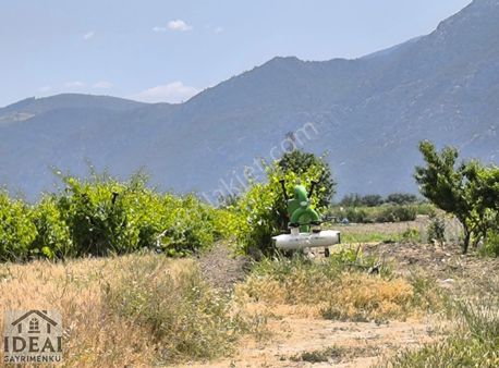 Manisa Şehzadeler Karaağaçlı'da 38 Dönüm İmara Sıfır Arazi