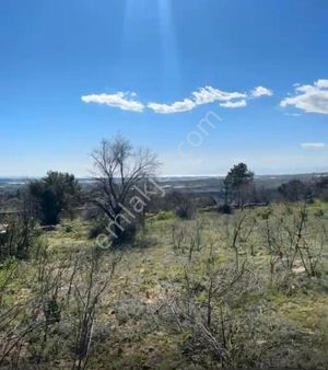 Satılık Tarla Antalya Manavgat Evrenleryavşide