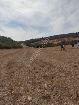 Denk Evim Gayrimenkul Dan Bilecik Mahan Da Satılık 6310 M2 Tarla