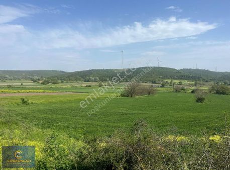 Mudanya Evciler De Her Geçen Yıl Değer Kazanan Bölge