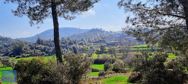 Bodrum Mumcular Yakını Milas Çiftlik Mahallesi