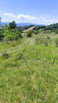 İnceoğlundan Güller'de 12 Dönüm Satılık Arazi