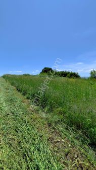 İnceoğlundan Güller'de 1776m2 Satılık Tarla