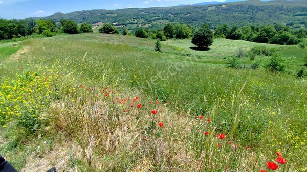 İnceoğlundan Güller'de 4 Dönüm Satılık Tarla