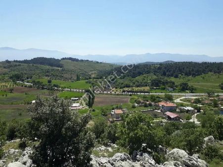 Manisa Yunusemre Büyük Sümbüller Mahallesinde Satılık Zeytinlik