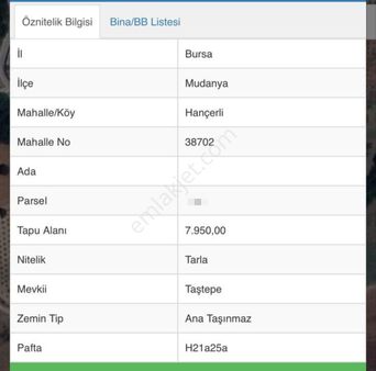 Ena Group Bursa Mudanya Hançerli'de. 7950 M2 Satılık Tarla