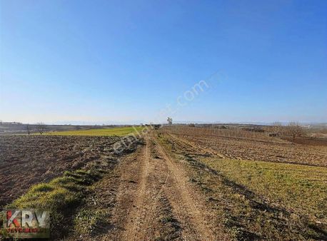 Bursa Yenişehir Orhaniyede 4179 M2 Arazim Satılıktır