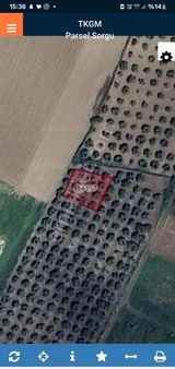 Gömeç Yaya Mah Satılık Arsa