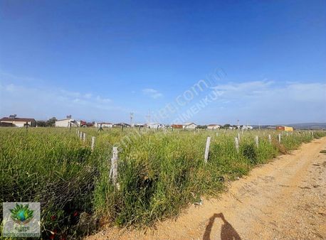 Pasifikten Claros Bulvarı Üzerinde 230 M² Eşsiz Parseller