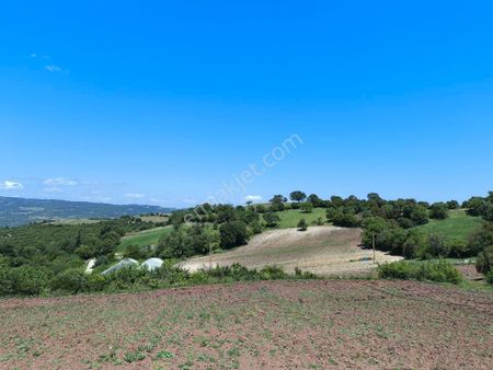 ▓ Altıeylül Kiraz Mah.de Köye Yakın 6 Dönüm Satılık Tarla ▓