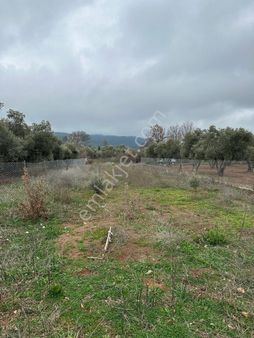 Muğla Yaraş Ta Tel Örgüyle Çevrili Kupon Parsel
