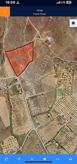 Villax'dan Foçada Satılık Tarla