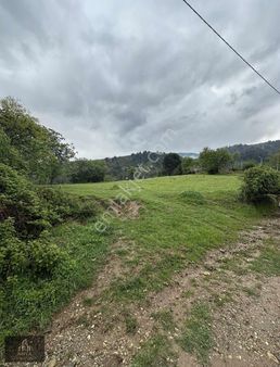 Nova Gayrimenkulden Mollaahmet Te Satılık Tarla