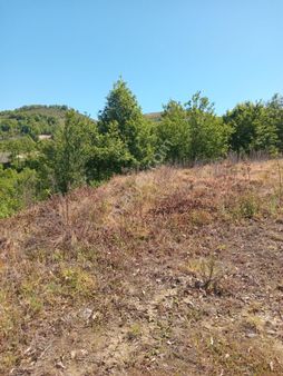 Yalova Altınova Sermayecik'te Fırsat Yatırımlık Tarla!