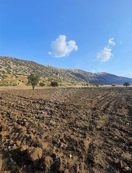 Asaf Gayrimenkul'den Kelipir Hisseli Tarla