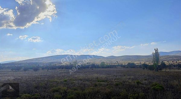 Asaf Gayrimenkul'den Kelepir Hisseli Tarla