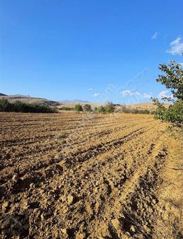 Asaf Gayrimenkul'den Kelepir Hisseli Tarla