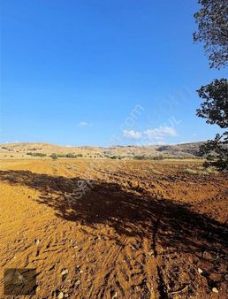 Asaf Gayrimenkul'den Kelepir Hisseli Tarla